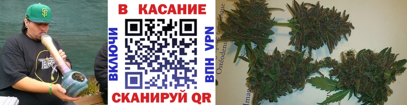 Названия наркотиков Карачев Марихуана  Меф мяу мяу  КОКАИН  A PVP  Псилоцибиновые грибы  ГАШИШ 