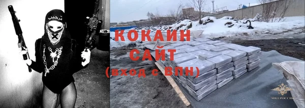 шишки Осинники